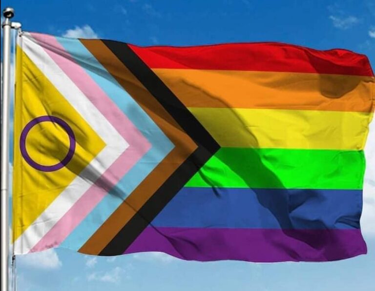 A bandeira do movimento LGBTQIA+ ganhou mais cores e elementos. A nova versão recebe o símbolo do orgulho intersexo, a paleta do orgulho trans e listras marrom e preta representando a luta antirracista