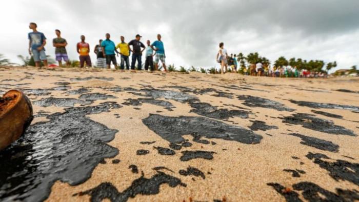 Imagem: Felipe Brasil/Instituto do Meio Ambiente de Alagoas 